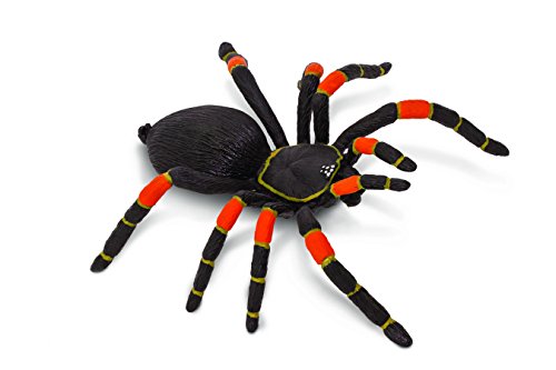 Safari Ltd Hidden Kingdom – Orange-Kneed Tarantula – Realistic Hand Painted Toy Figurine For Ages 3 And Up – Large #TOP9