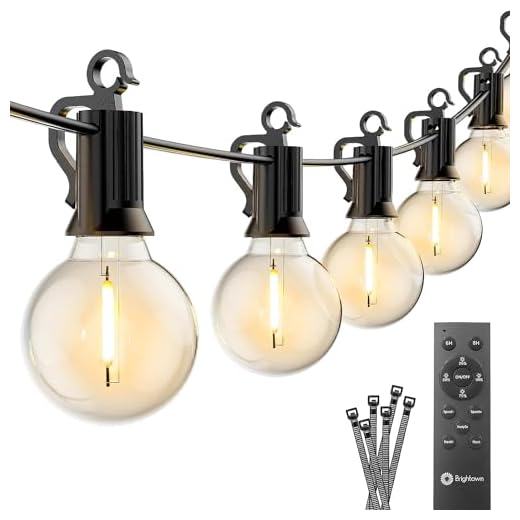 Brightown Outdoor String Lights with Remote, 58FT(48+10) LED String Lights with Clips Hooks, G40 Patio Lights with 27 Bulbs(2 Spare), Waterproof Shatterproof Hanging Light for Patio Backyard