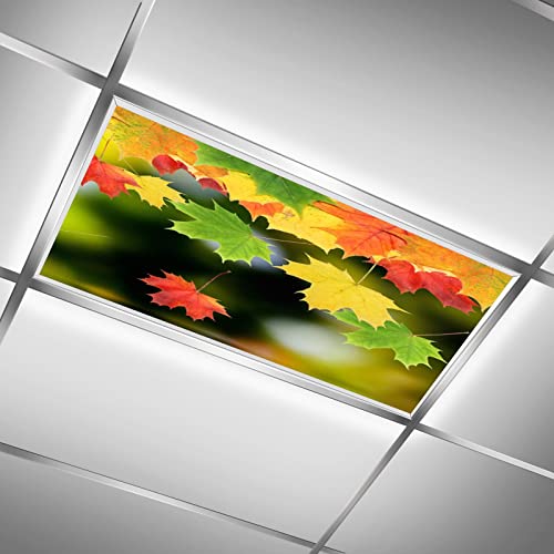 Ceiling Fluorescent Light Covers for Classroom Office Colorful Maple Leaves Mirror Lake Reflection Decorative Ceiling Light Coverings Skylight Film Filter Reduce Glare Flicker Home lamp Decor