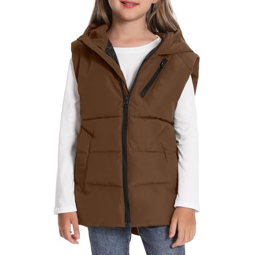 Toddler Boys Girls Winter Puffer Vest Boys Hooded Sleeveless Jacket Lightweight Warm Down Coat with Pocket Kids 3-12 Years2
