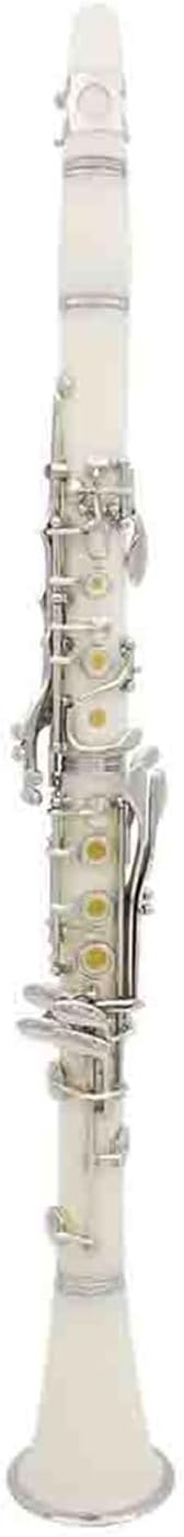 Clarinet B Key ABS Solid 17 Keys Professional Woodwind Instrument For Beginners Clarinet Instrument(White)