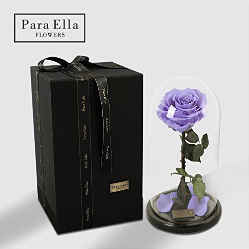 Beauty And The Beast Rose, Live Forever Rose in Glass, Live Enchanted Rose, Preserved Rose %100 Natural