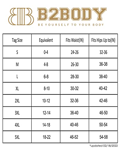 B2Body Womens Silky Sexy Satin Tangas Panties S - Plus Size Women Underwear Multi-Pack (Xl) #TOP2