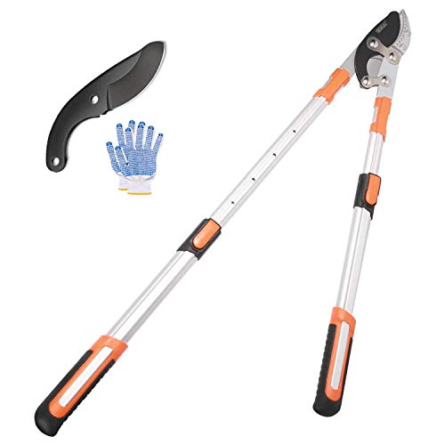 The Best, highestrated Branch cutter products