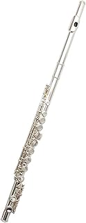 Silver-plated C-tuned Professional Performance For Beginners, 16 Closed Holes, With E Key flute instrument