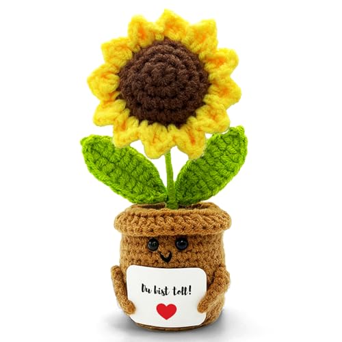 Regalo di mamma: il vaso da fiori di girasole positivo è un regalo perfetto, può portare calore e forza alla famiglia e agli amici.