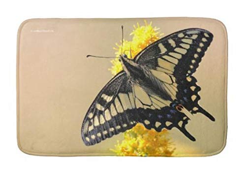 Beau papillon machaon anis dans le tapis de salle de bain super confortable absorbant le soleil paillasson tapis de bienvenue tapis de bain intérieur / extérieur Decor Art Print avec support antidérap