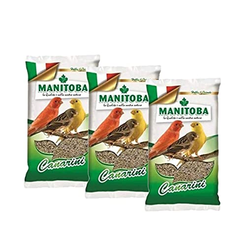 Manitoba - Canarini 1kg - Offerta 3 Sacchi