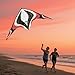 Babyeden Large Dual Line Stunt Kite, 84 Inch Wide Entry-Level Sport Kite for Adults and Kids