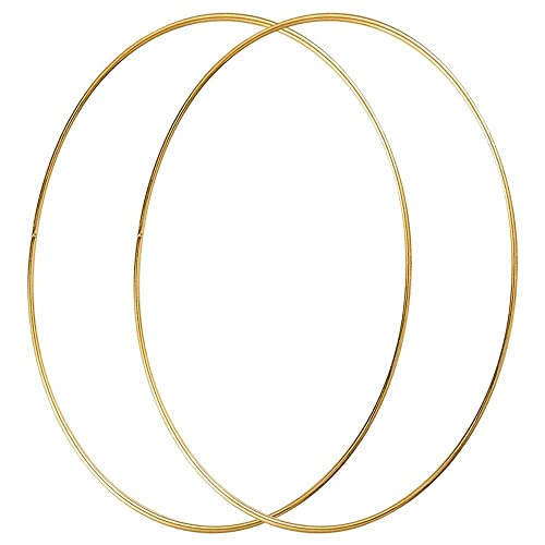 2 Pack 16Inch/14/12/10/8/6/4Inch Metal Floral Hoop Wreath Macrame Gold Craft Hoop Rings For Making Wedding Wreath Decor, Dream Catcher And Diy Wall Hanging Crafts (4 Inch/10Cm) #TOP2