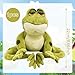 Peluche de Rana, 22cm Verde Rana Muñeca Peluche Imagen de Peluche de Rana, 22cm Verde Rana Muñeca Peluche