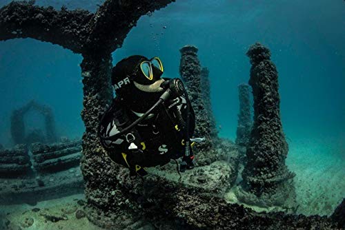 ATOMIC Aquatics B2 Color Kit, Aqua (02-0307-3P)