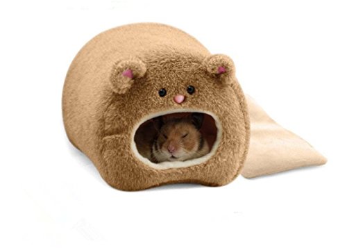 Outfun nbN@tFbg@ETM@bg@nX^[@g@݂@xbh@N}@@