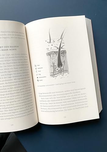 Alles, was Sie schon immer wissen wollten über Haupt und Haar, aber sich nie zu fragen trauten: Die besten Tipps für gesundes Haar!