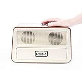 Ravencout Living One Button Radio, AM/FM, For Elderly, Dementia, Alzheimer's, Autism, Visual Impairment, Rechargeable, Retro style