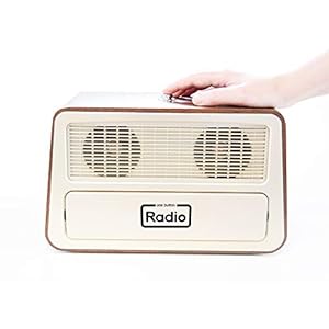 DF Sales Ltd Ravencout Living Radio
