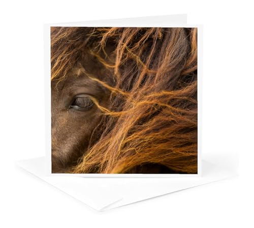 Iceland. Close-up of Icelandic horses head. - Greeting Card, 6 x 6 inches, single (gc_188425_5)