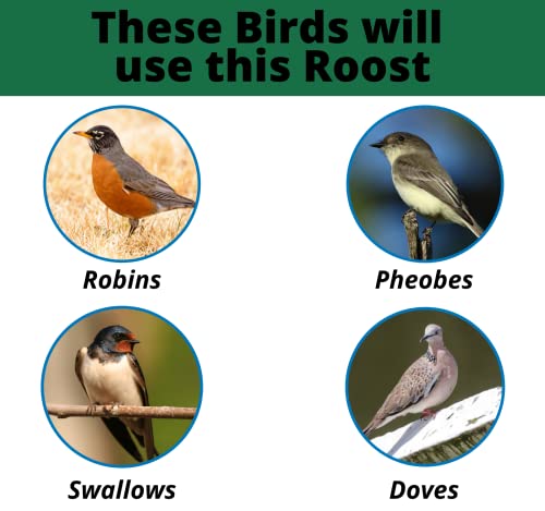 Jcs Wildlife Modern Style Cedar Robin Roost With Poly Lumber Roof - Great For Robins, Phoebes, Doves And Swallows - Nesting And Roosting Platform (Blue) #TOP4