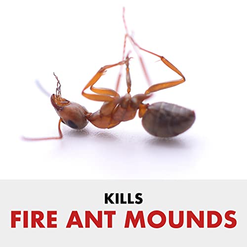 Image of Spectracide Fire Ant Shield Yard Protection Granules 10 Pounds (Pack of 4)