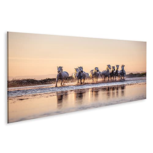 Tableau Chevaux Sauvages Camargue islandburner pour Salon Moderne