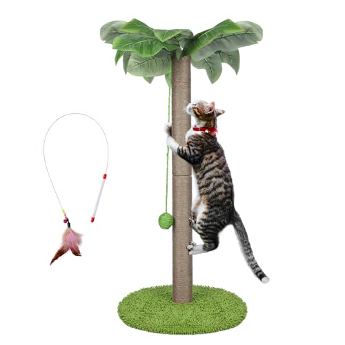 Zvonema Kratzbaum, 85cm Kratzsäulen,Kratzstamm für Katzen aus natürlichem Sisal, Groß Katzenkratzbaum mit Weicher Boden und Ball Spielzeug, für Wohnungskatzen und Kätzchen, Senden KatzenfedernStick