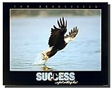 Impact Posters Gallery Bald Eagle Diving Landing Success Picture Wildlife Nature Animal Wall Decor Art Print Poster (16x20)