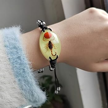 Transparent Scorpion Resin Bracelet - Real Insect Specimen With Adjustable Cord