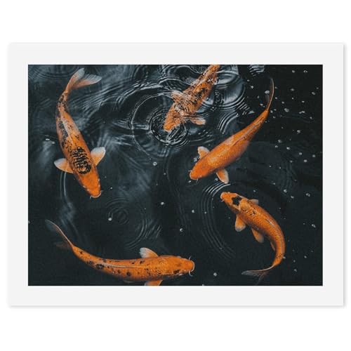 Kit de pintura por números de pez naranja con lienzo de alta densidad para adultos