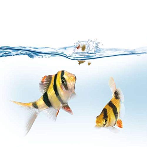 JUWEL Aquarium - EasyFeed - Futterautomat