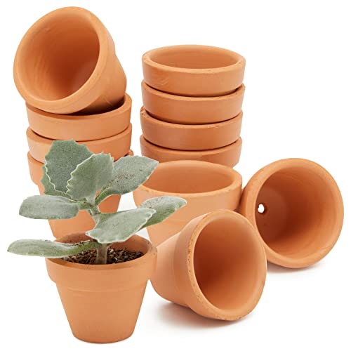Juvale 10 Pack Terra Cotta Pots with Drainage Holes - 1.5 inches Mini Clay Flower Pots Perfect for Succulent Display, Cactus Nursery Planter, Indoor and Outdoor Plant