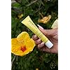 Cocokind Turmeric Tonic, Spot Treatment for Dark Spots and Blemishes with Organic Turmeric, Tea Tree Oil, and Witch Hazel