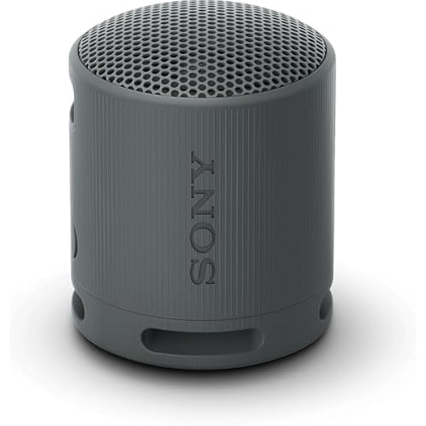 Sony Srs-Xb100 Głośnik Bluetooth, Czarny, 16 godzin
