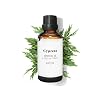 Cypress Essential Oil 50 ml