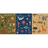 Educational Poster Nature Wall Art - 3-Pack Woodland, Ocean & Savanna Life Posters - 11x14' Modern Science Decor for Classroom, Playroom & Homeschool - Matte Laminated Science Exploration Charts