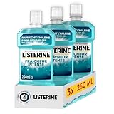 Listerine – Bain de Bouche Quotidien Fraîcheur Intense (lot de 3 bouteilles de 500 ml) – Bain de bouche pour combattre les bactéries – Goût intense pour une haleine fraîche