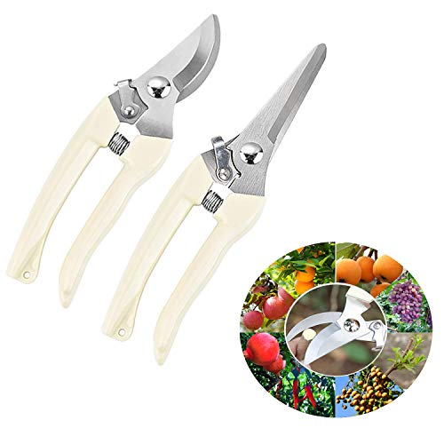 JWJAN Professional Gardening Shears,1pcs Bypass Pruning Shears 1pcsStraight Pruning Shears, Tree Trimmers, Pruning Pliers, Hedges, Plant Shears, Gardening, Pruning, Garden Tools(2pcs)