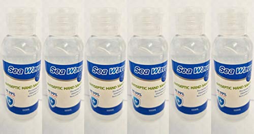 Image of 6 Bottles of 100 ml Instant Hand Sanitiser with 75% Alcohol Content