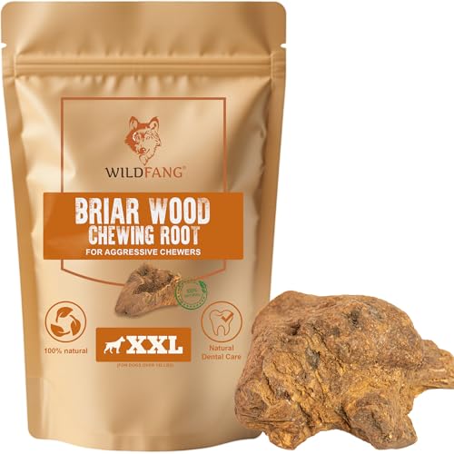 Wildfang® Briar Wood Dog Chew Root, Medium - Splinter-Free Natural Dog Chews from Tree Heather for Aggressive Chewer, Puppy Chew Toys for Dogs Dental Health (For Dogs 15–25 kg), Pack of 1