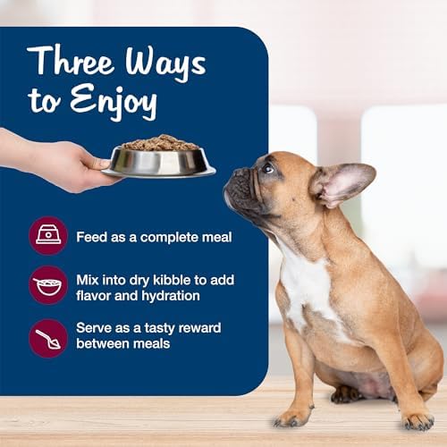 Blue Buffalo Blue's Stew Beef Grain-Free Wet Dog Food, 12.5 oz, 12 ct — view 6