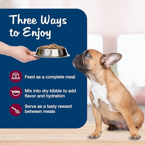 Blue Buffalo Blue's Stew Beef Grain-Free Wet Dog Food, 12.5 oz, 12 ct - image 7
