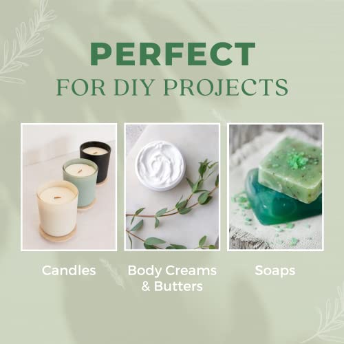 Tea Tree Essential Oil For Clear Skin 1Oz (30Ml) - Pure, Therapeutic Grade Tea Tree Oil - Perfect For Cleansing Breakouts, Dandruff And Dirt - Use In Diffuser Or On Skin & Hair 1 Oz #TOP2