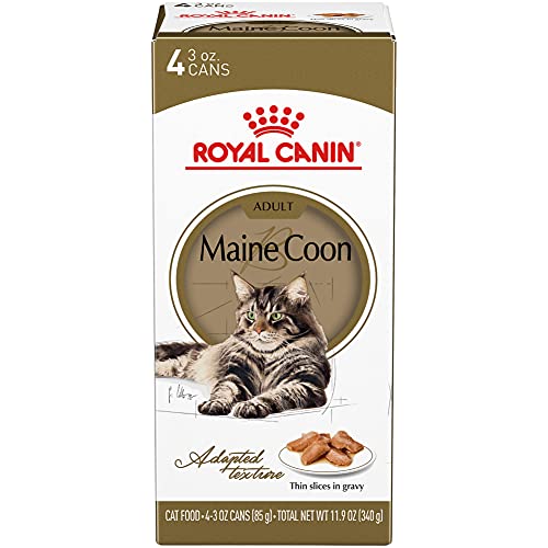 Royal Canin Maine Coon Cat Food (2023 Review) - Maine Coon Hawaii