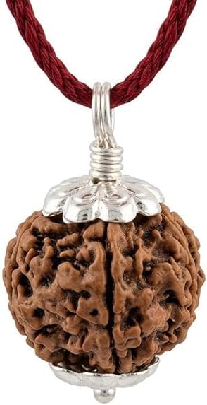 Panchmukhi Rudraksha for Home Office & Puja Room Pack Of 1