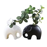 Koomuao 2pcs Mini L'éléphant Vase en Céramique Vases à Fleurs Décoratifs pour Plantes Succulentes, Végétal Vase Décor Salon Bureau Cuisine Table Ornement (Petite) (Petite)