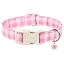 Pink Gingham