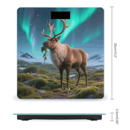 Báscula digital para baño con diseño Reno y luces miniatura 2