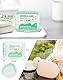 200 Stk. Zahnseide Sticks Minze Dental floss Mint Twin line Floss Zahnseide mit Zahnstocher Geschmack Minze Doopelte Fäden Zahnseidesticks mit Doulbe-Line Floss Picks Zahnreiniger Zweischenräume