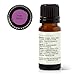 Plant Therapy Palo Santo Essential Oil 10 mL (1/3 oz), 100% Pure, Undiluted, for Aromatherapy, Stress Relief and Meditation