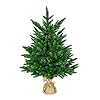 eveXmas 60 cm kunstmatige kerstboom, dennenboom onyx klein groen, 62 takken 100% PE-punten, incl. decoratieve standaard van jute