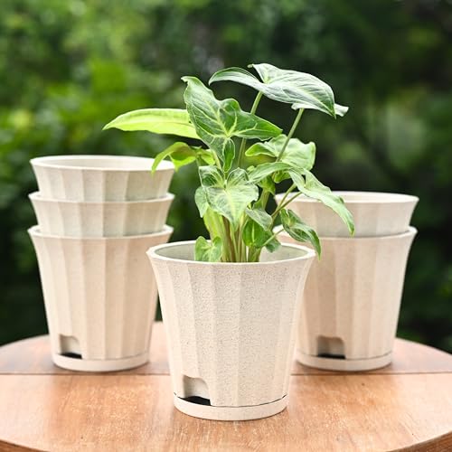 Image of Eha Earth Friendly Ace 5 inch Small Self Watering Pots for Indoor Plants | Set of 6 | Plant Pot Made with Bamboo Fibers | Table Top Planters for Home Decor, Flower Pot for Living Room | Sand Castle